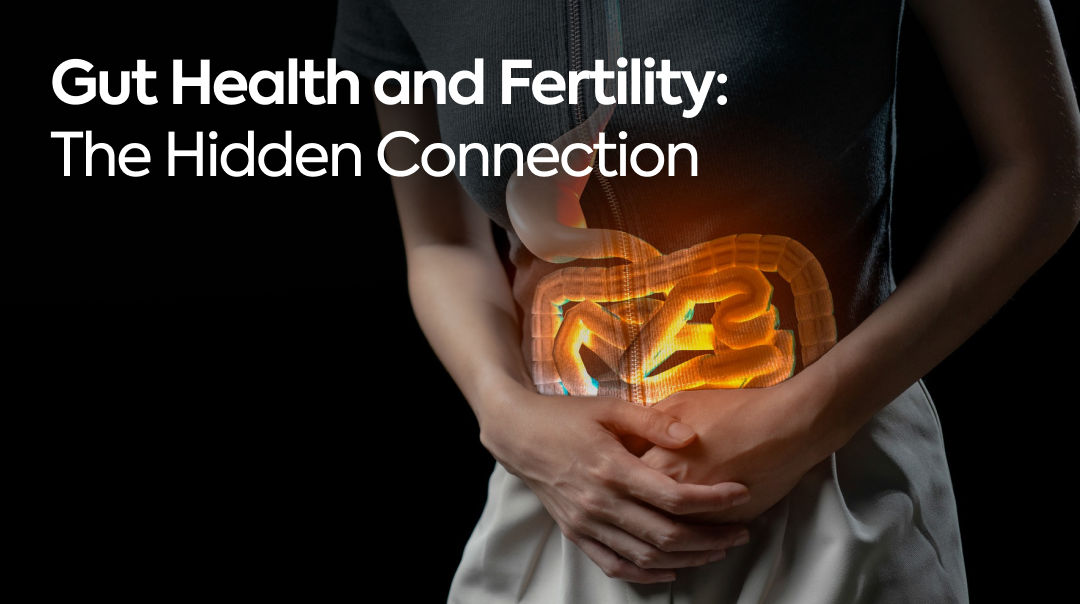 Gut Health and Fertility: The Hidden Connection – Natxtra.com