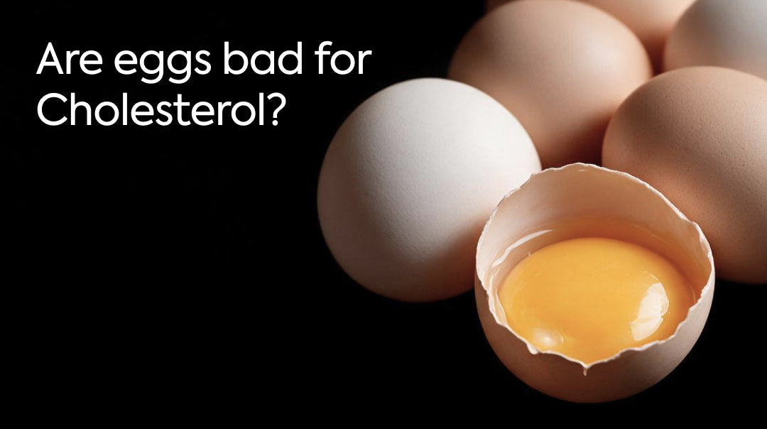 Are Eggs Bad for Cholesterol? The Truth About Eggs and Heart Health&nbsp;
