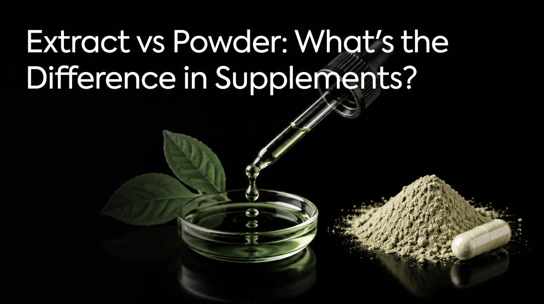 Extract vs Powder: What's the Difference in Supplements?