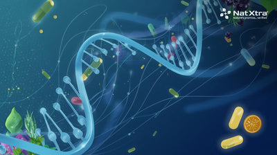 Personalized Nutrition: Is the Future of Supplements Tailored to Your DNA?