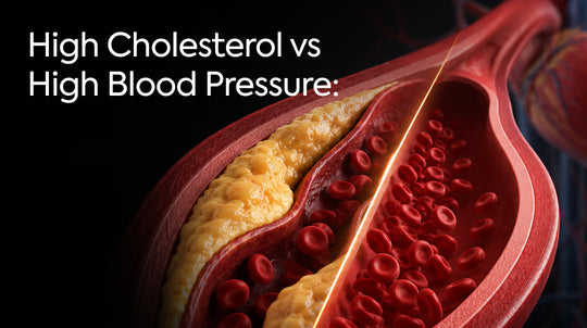 High Cholesterol vs High Blood Pressure: Key Differences You Need to Know