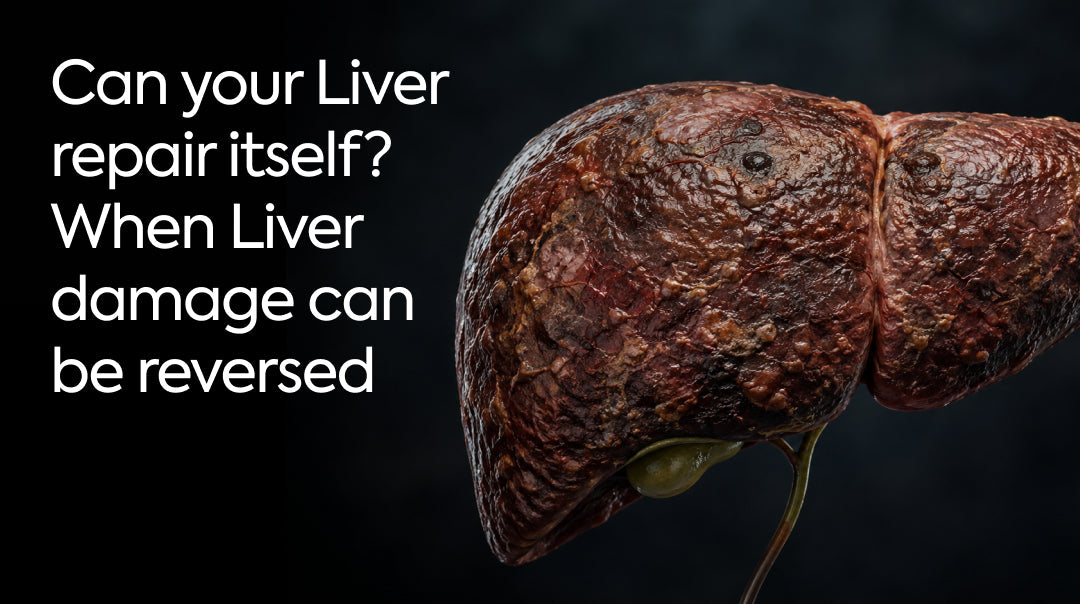 Can Your Liver Repair Itself? When Liver Damage Can Be Reversed