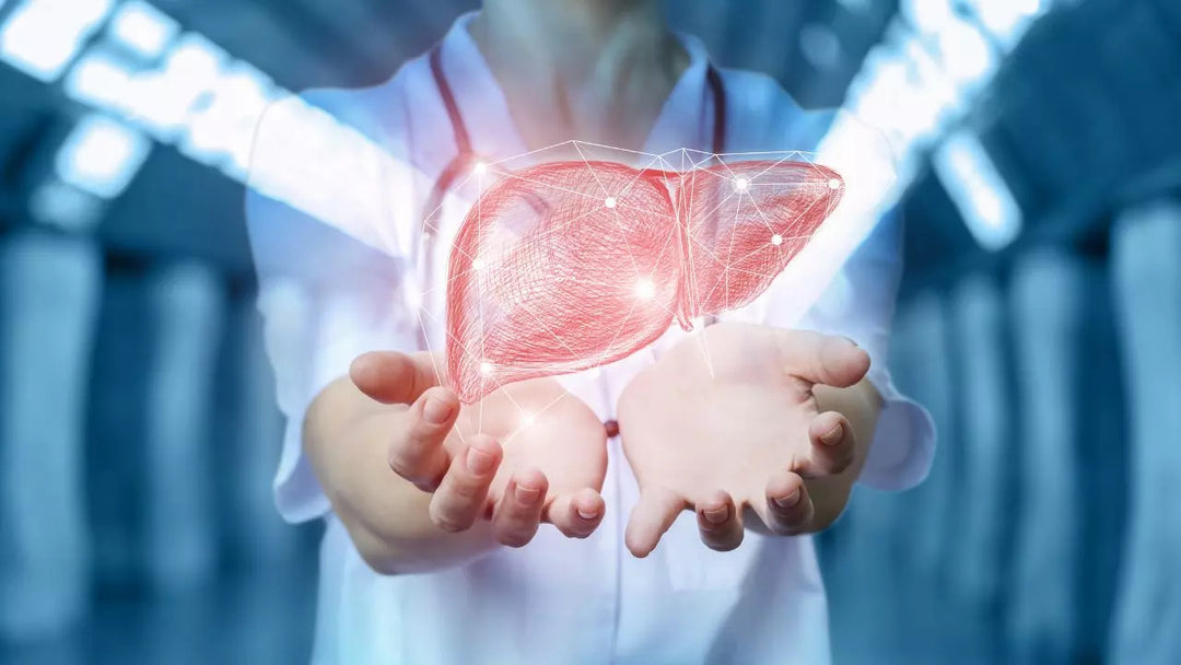 Effective Ways to Modify or Reverse Fatty Liver Disease