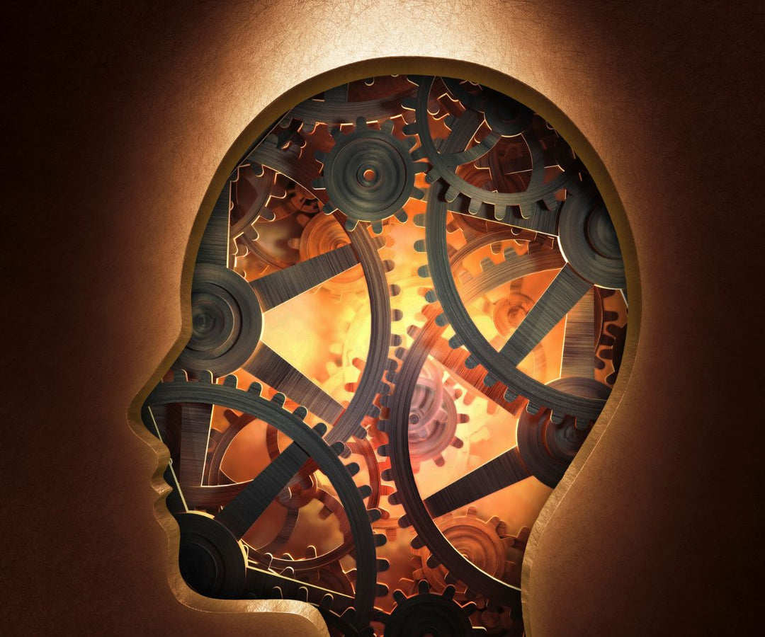 Brain Gains How Strength Training Protects Against Cognitive Decline