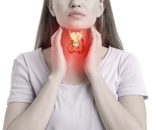 Zinc & the Thyroid  A Natural Approach to Hormonal Balance