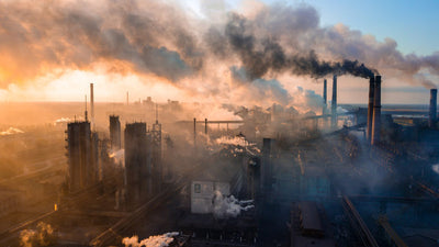 THE AIR WE BREATHE: UNRAVELING THE GLOBAL POLLUTION CRISIS
