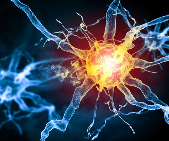 Silent Signals Unraveling Diabetes and Nerve Damage