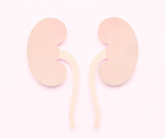 The Interlinked Threats of Diabetes and Kidney Disease