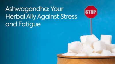Ashwagandha: Your Herbal Ally Against Stress and Fatigue