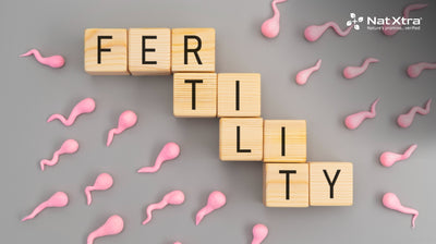 Fertility and Men’s Nutrition: What You Need to Know