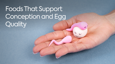 Fertility Nutrition: Foods That Support Conception and Egg Quality