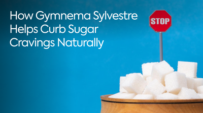 How Gymnema Sylvestre Helps Curb Sugar Cravings Naturally