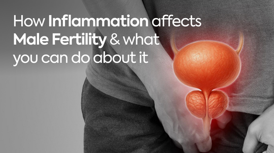 How Inflammation Affects Male Fertility & What You Can Do About It