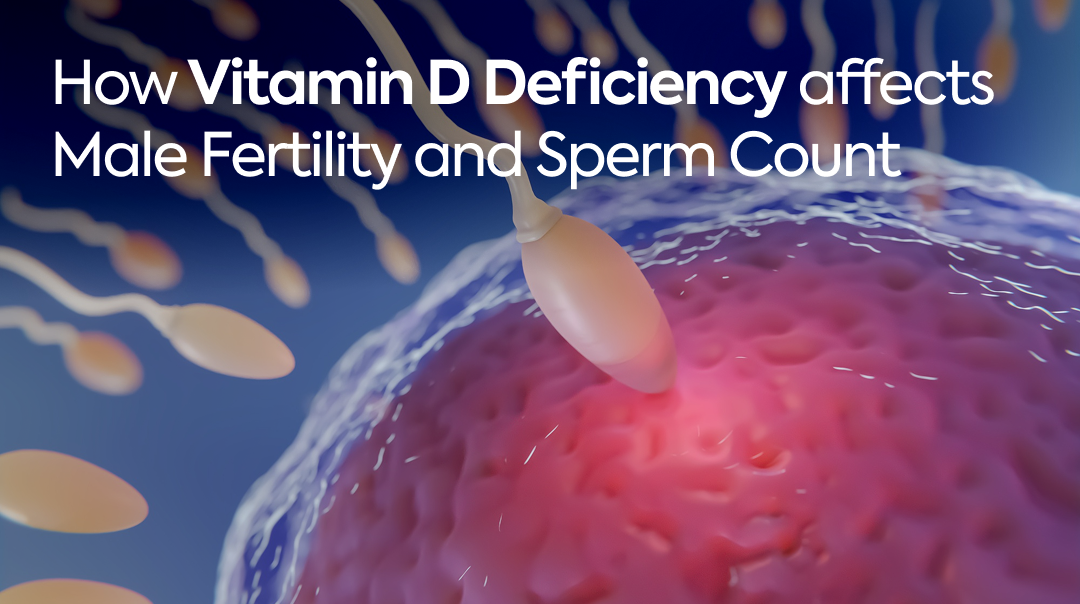 How Vitamin D Deficiency Affects Male Fertility and Sperm Count