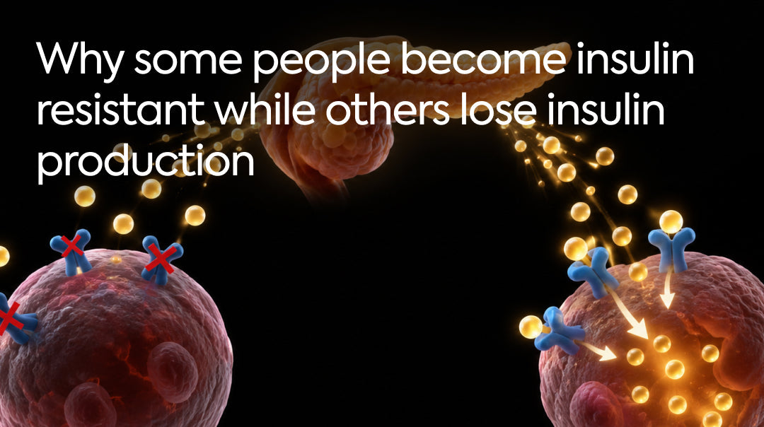 Why Some People Become Insulin Resistant While Others Lose Insulin Production