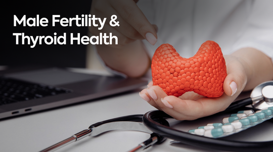 Male Fertility and Thyroid Health: Understanding the Hormonal Connection