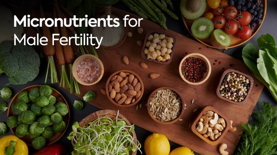 Micronutrients for Male Fertility: Vitamins and Minerals You Can’t Overlook
