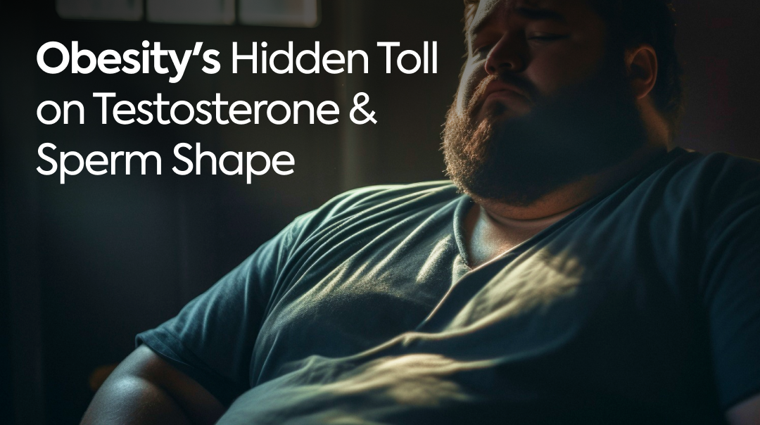 Obesity's Hidden Toll on Testosterone and Sperm Shape