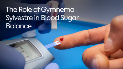 The Role of Gymnema Sylvestre in Blood Sugar Balance