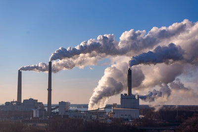 Pollution, Stress, and Diet: Silent Fertility Killers You Can't Ignore