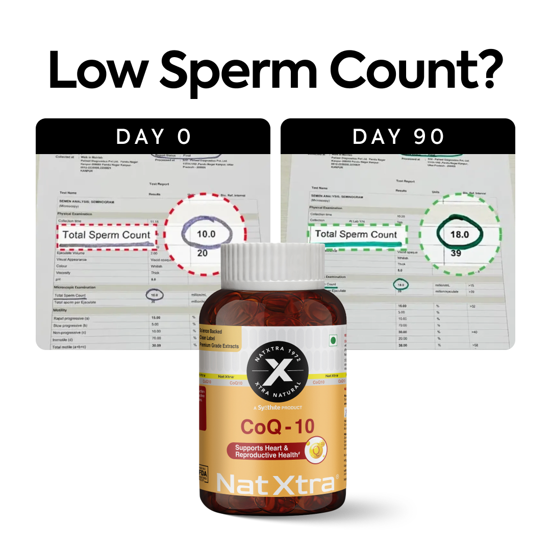 CoQ10 - Supports Sperm Health