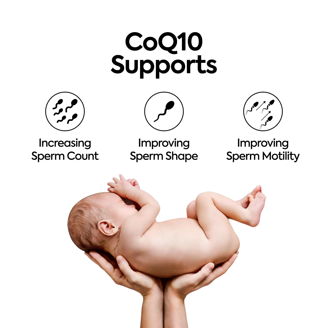 CoQ10 ( Pack of 3 )