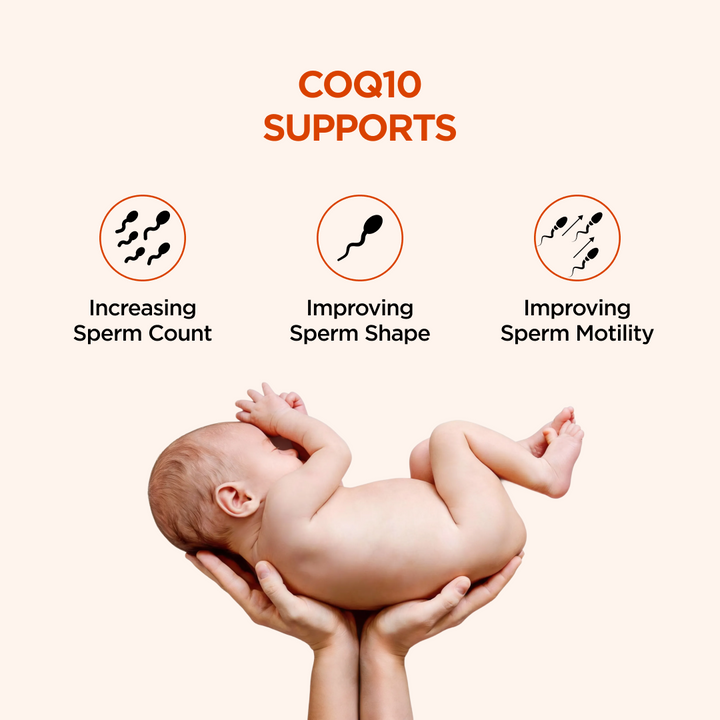 CoQ10, Ashwagandha & Zinc