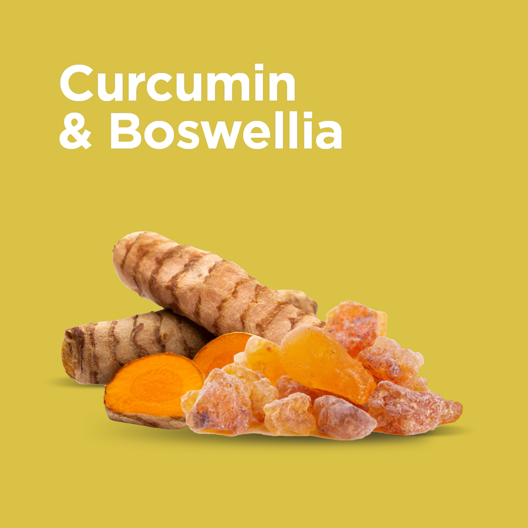 Curcumin & Boswellia