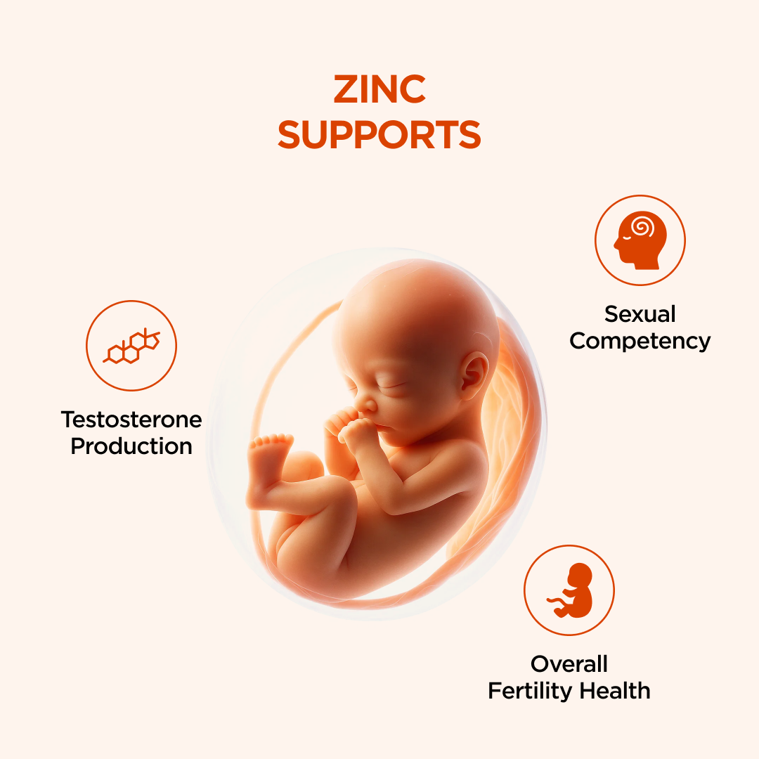 CoQ10, Ashwagandha & Zinc