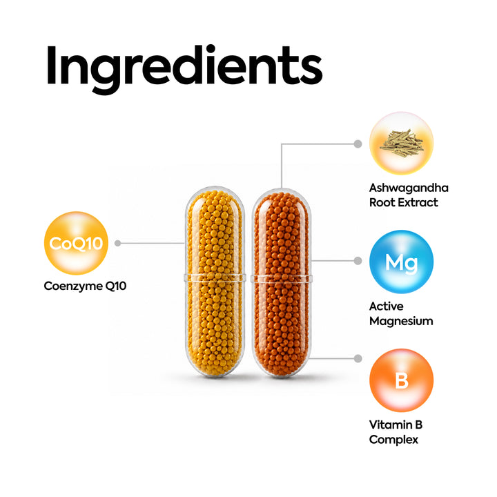 CoQ10 & Ashwagandha Extract