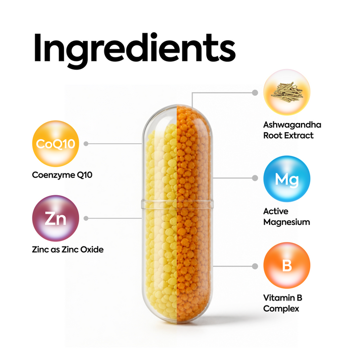CoQ10, Ashwagandha & Zinc